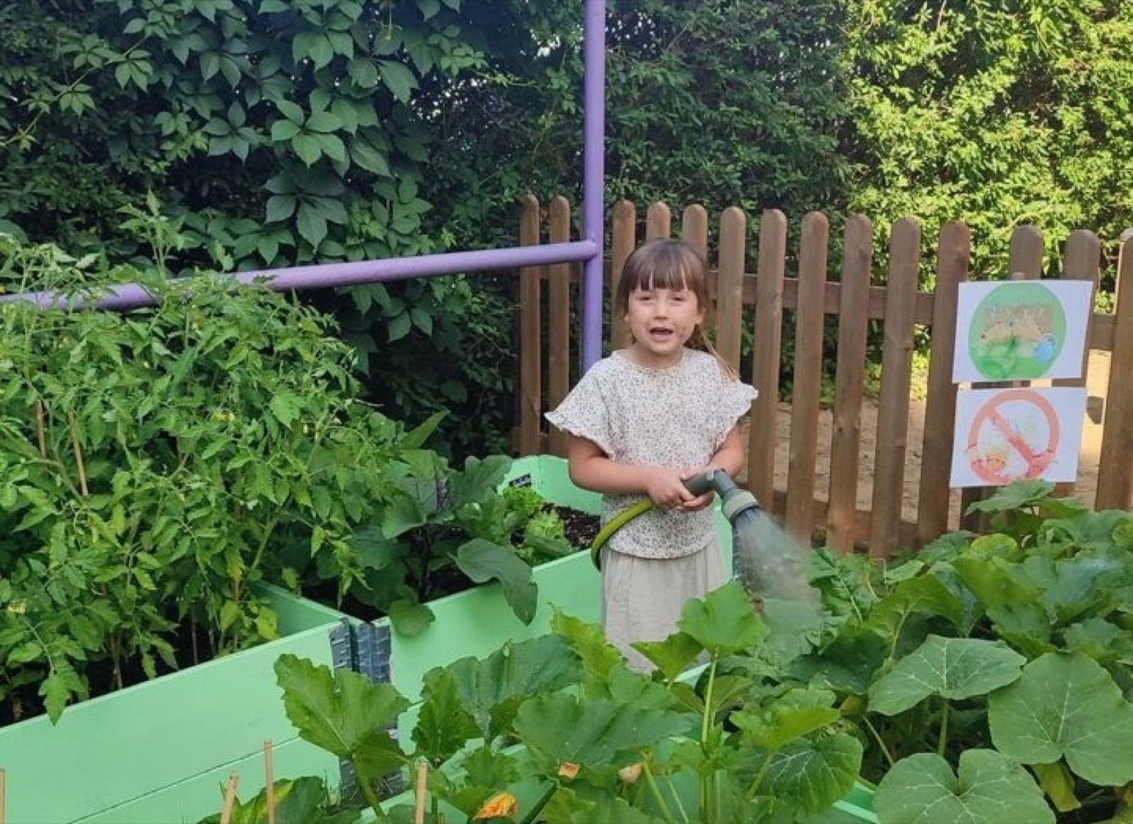 A girl waters vegetables in the preschool garden